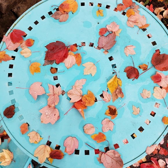 Meet your Posher, Katy - Picture 1 of 5